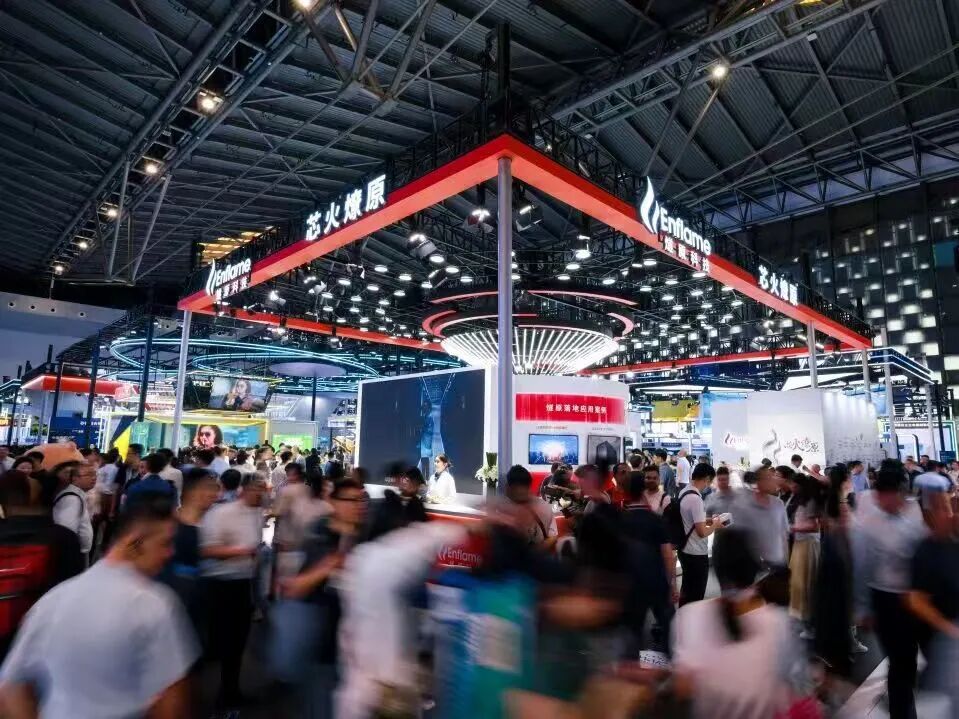 成熟期IPO辅导(成熟期的上市公司有哪些)