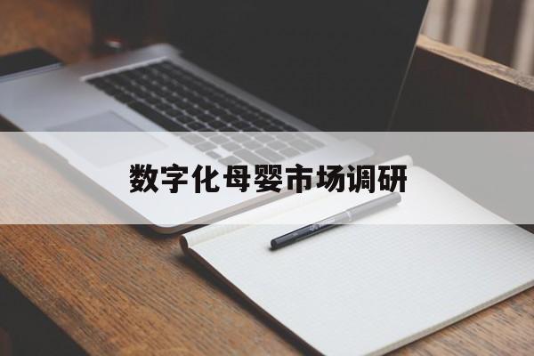 数字化母婴市场调研(数字化母婴市场调研报告)