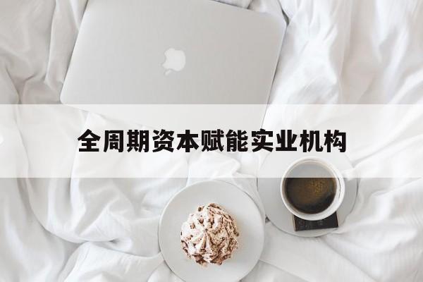 全周期资本赋能实业机构(全周期管理)
